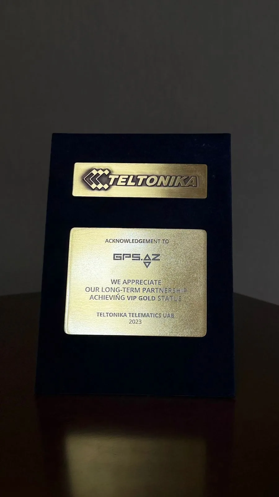 VIP Gold Partner Status 2023